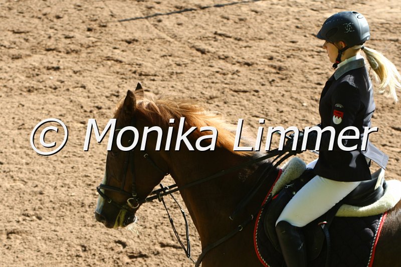 104M8913_Spring M_m.Stechen.JPG